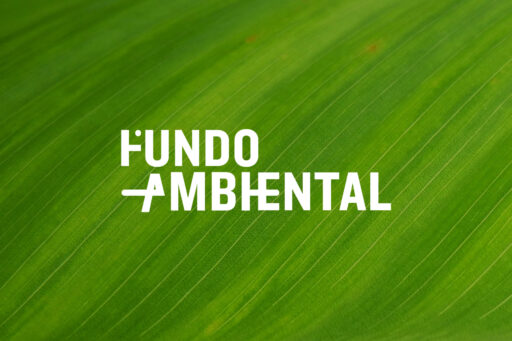 Fundo Ambiental centraliza gestão de recursos e políticas ambientais com a Plataforma Masterlink
