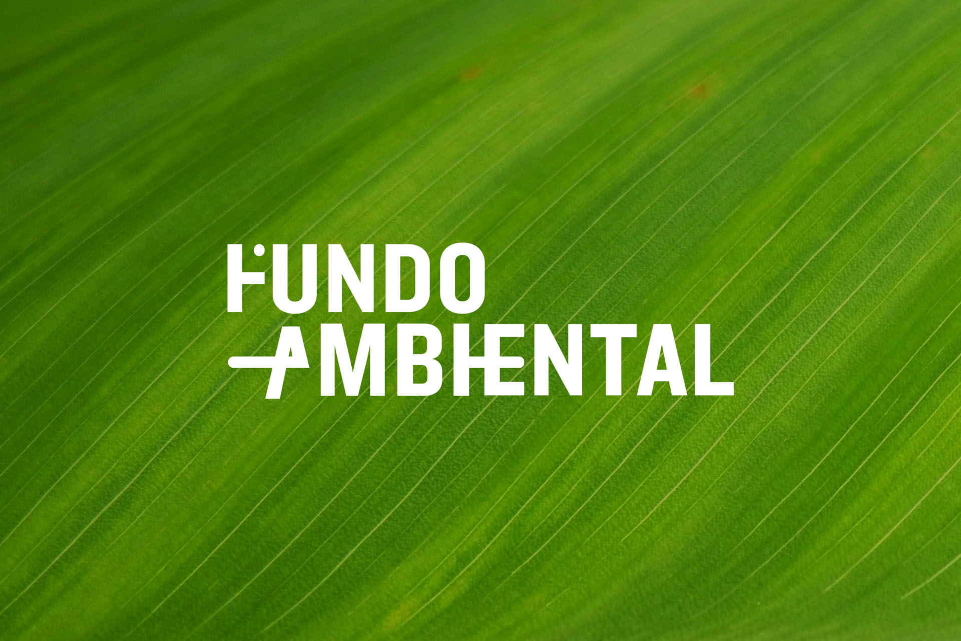 Fundo Ambiental centraliza gestão de recursos e políticas ambientais com a Plataforma Masterlink